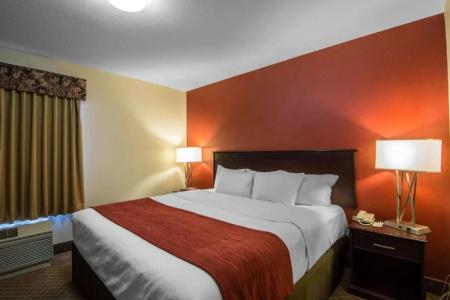 Comfort Inn & Suites Airport South - 40