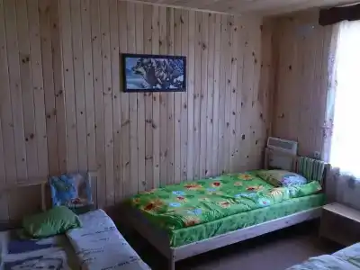 Волчица - 3