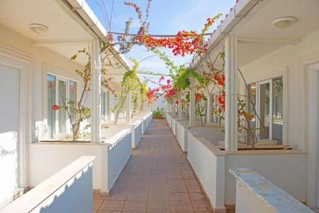 Grand Emir Spa - 49