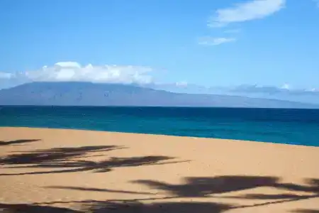 The Westin Maui & Spa, Ka'anapali - 41