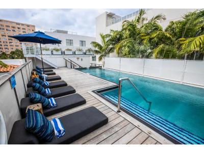 Posh South Beach - 22