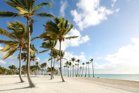 Trs Cap Cana - Adults Only - 43