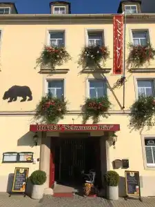 Schwarzer Bär - 3