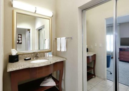 Hampton Inn & Suites I-20 - 74