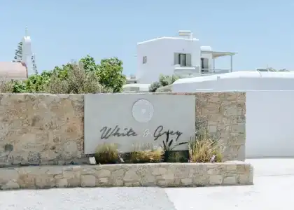 White and Grey - 0