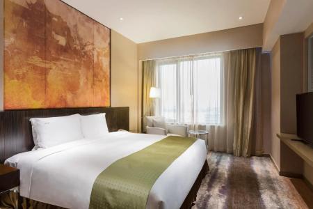 Holiday Inn Nanjing Aqua City, An Ihg - 51