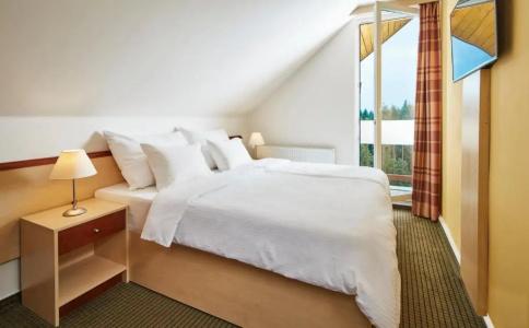 Orea Resort Sklář Harrachov - 23