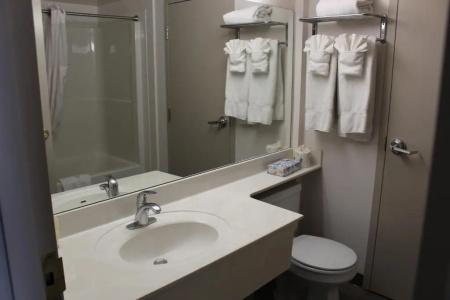 Ramada Plaza Airport and Conference Centre - 40