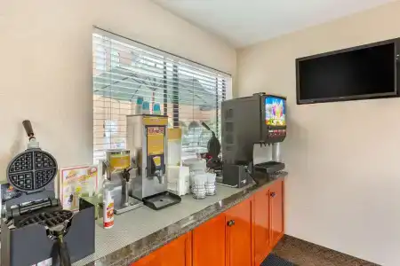 Quality Inn & Suites Oceanside Near Camp Pendleton - 4