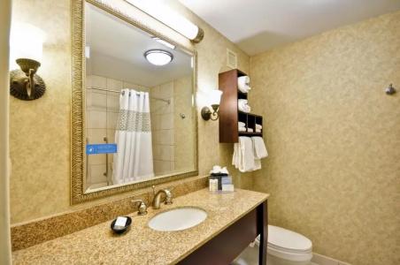 Hampton Inn Charleston-Historic District - 48