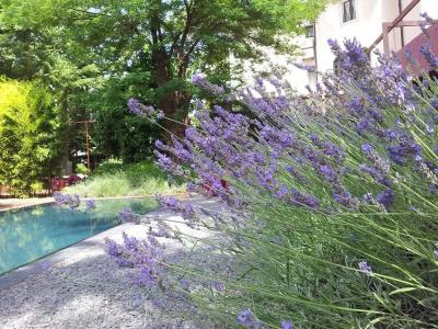 Clocchiatti Next - 19
