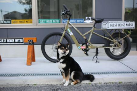 Guest House Matsu - 18