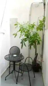 La Bella Lecce b&b - 64