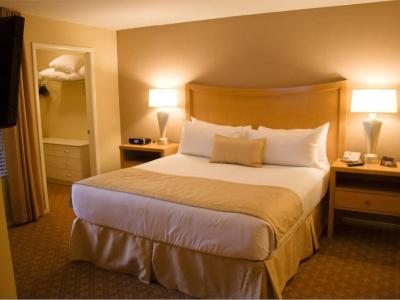 Desert Paradise Resort By Diamond Resorts - 3