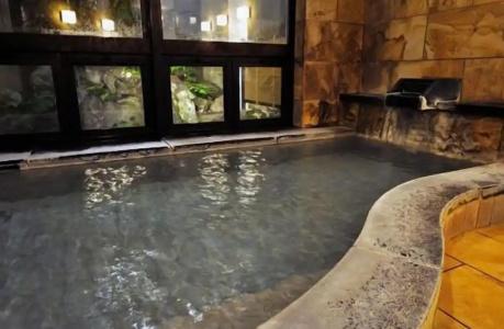 Hakuba Onsen Ryokan Shirouma-so - 15