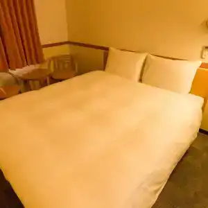 Toyoko Inn Ekimae - 21