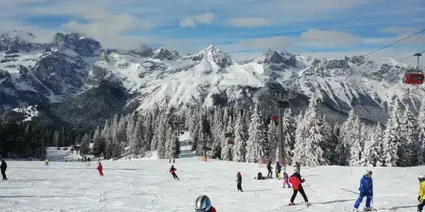 Belvedere Srl - 31