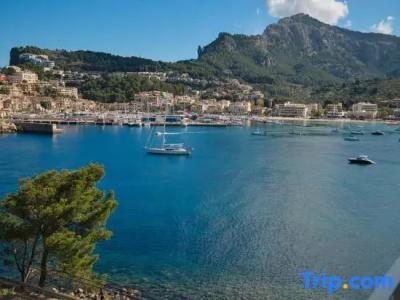 Citric Sóller - 196