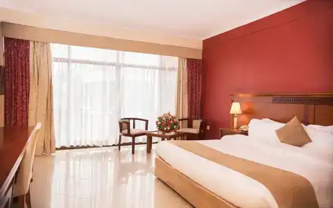 Golden Tulip - 91