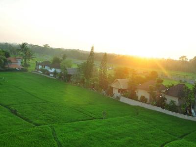 The Evitel Resort Ubud - 38