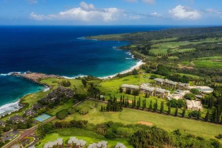 The Ritz-Carlton Maui, Kapalua - 37
