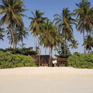Family Beach Bungalows - 12