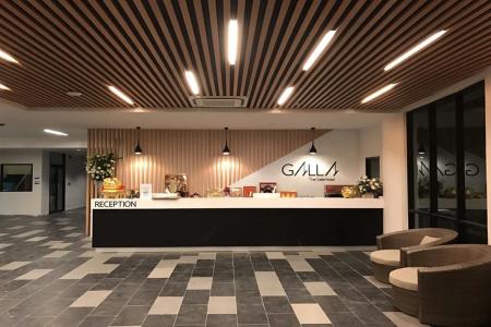 The Galla - 1