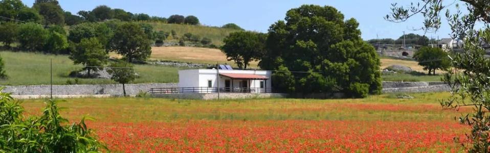 Masseria Torricella - 42