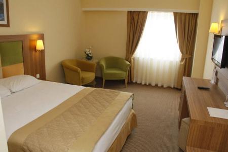 Palan Ski & Convention Resort - 2