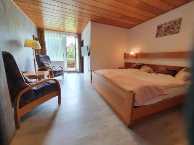 Pension Robin Hood - 32