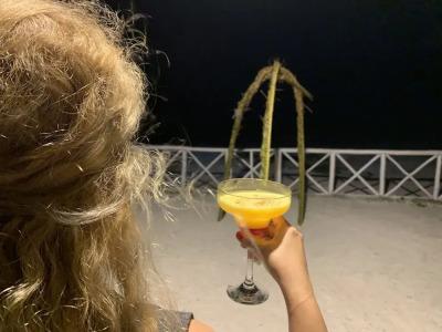 African Paradise Beach - 18