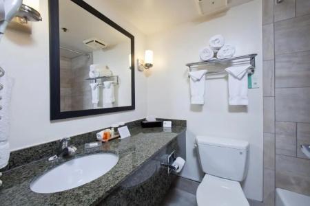 Best Western Plus Thunderbird Suites - 70