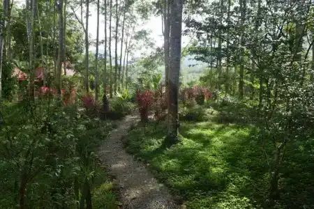 Manora Garden - 41