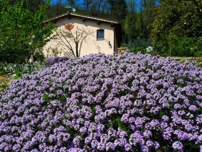 a'Loro b&b - 7