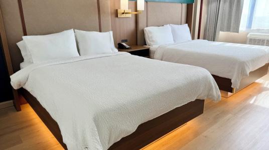 Holiday Inn Houston s - Nrg Area - Med Ctr, An Ihg - 38