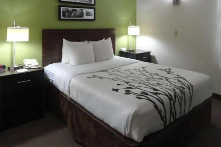 Sleep Inn - 35