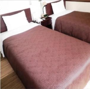 Select Inn Tsuyama - 5