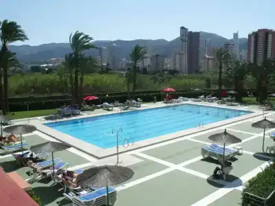Caballo de Oro - 8