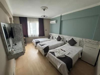 Ersoy Ege Apart Otel - 141