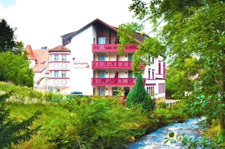 RegioGermania Bad Harzburg - 11