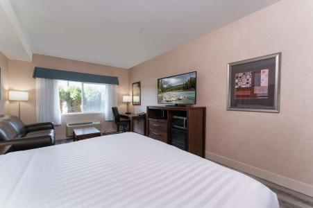 Best Western - 58