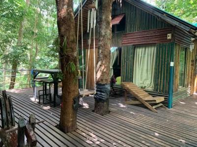 Khao sok tree house resort - 72
