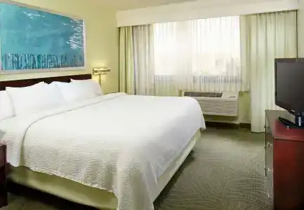 Springhill Suites Houston Medical Center / Nrg Park - 28