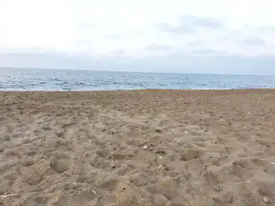 Kathrin Beach - 19