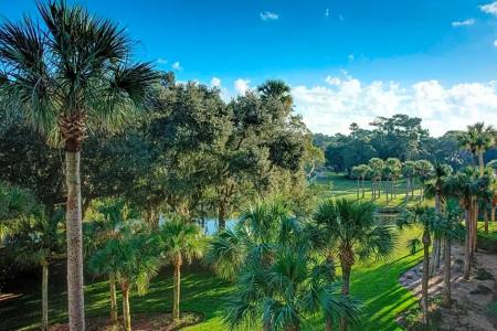 Sawgrass Marriott Golf & Spa - 146
