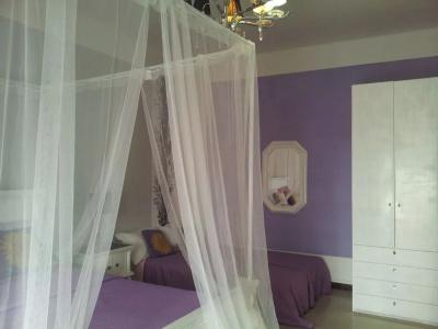B&B Palese - 2