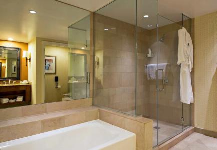 Jw Marriott Phoenix Desert Ridge Resort & Spa - 8