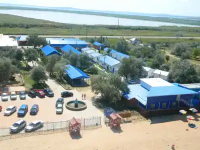 Дельфин - 15