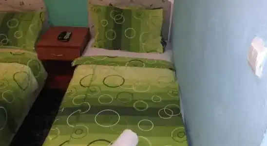Guest House Dragomir - 54