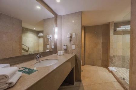 Holiday Inn Guadalajara Select, An Ihg - 85